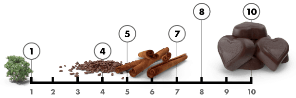 насыщенность